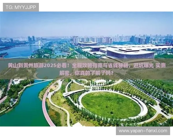 玩球体育app彩票数字高频玩法防骗避坑指南